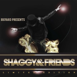Shaggy & Rayvon Show (feat. Rayvon)