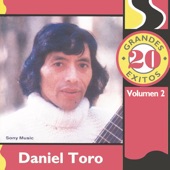 20 Grandes Exitos: Daniel Toro, Vol. 2 artwork