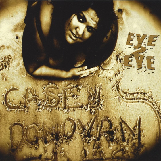 Cover artwork for Did It Again