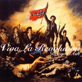 Viva la revolution artwork