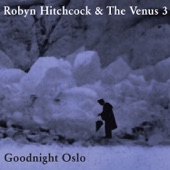 Robyn Hitchcock - Goodnight Oslo