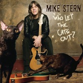 Mike Stern - KT