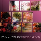 Rose Garden (Re-Recorded) artwork