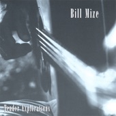 Bill Mize - Path of Fallen Leaves