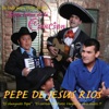 Pepe de Jesus Rios - Llegaste a Mi