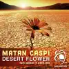 Desert Flower (Oasis Mix) song lyrics