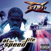 At the Speed of Life artwork