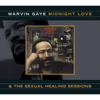 Sexual Healing - Marvin Gaye