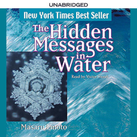 Masaru Emoto - The Hidden Messages in Water artwork