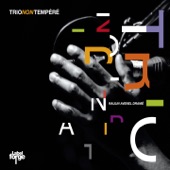 Trio non tempéré artwork