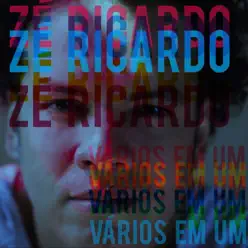 Vários Em Um - Single - Zé Ricardo