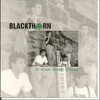 Blackthorn - When New York Was Irish