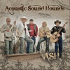 Acoustic Sound Hounds, 2011