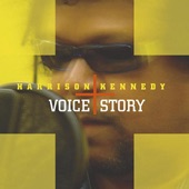 Voice Story artwork
