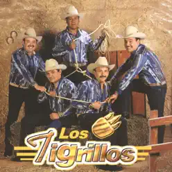 Los Tigrillos - Los tigrillos Los Tigrillos - Los tigrillos