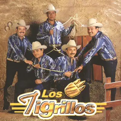Los Tigrillos - Los tigrillos Los Tigrillos - Los tigrillos