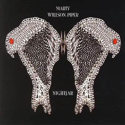 Nightjar - Marty Willson-Piper