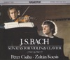 Péter Csaba & Zoltán Kocsis - Sonata No. 6 in G major BWV 1019: III. Allegro