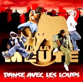 Danse avec les loups artwork