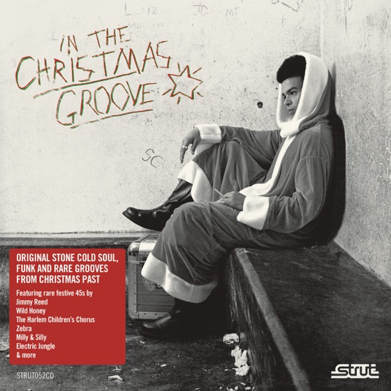 Cover artwork for Christmas Present Blues