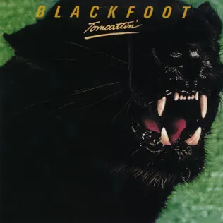 descargar álbum Blackfoot - Tomcattin