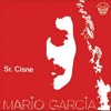 Sr. Cisne, 2011