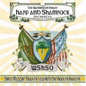 The Washington Square Harp and Shamrock Orchestra - Sweet Dublin Bay / Anach Cuain (Song, Jig) / [feat. Liz Hanley]