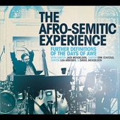 The Afro-Semitic Experience - Viddui