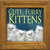 Cute Furry Kittens - Smosh