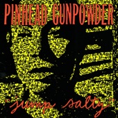 Big Yellow Taxi by Pinhead Gunpowder