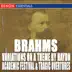 Brahms: Variations On a Theme By Haydn, Academic Festival Overture & Tragic Overture album cover