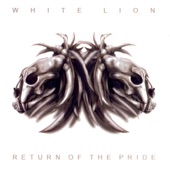White Lion - Battle of Little Big Horn