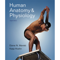 Elaine N. Marieb, Katja Hoehn - VangoNotes for Human Anatomy & Physiology, 8/e artwork