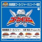 Kaizoku Sentai Gokaiger vs. Super Sentai - EP artwork