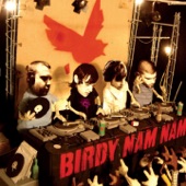 Birdy Nam Nam - Abesses