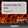 Sunshine After the Rain - Single