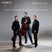 Beethoven: String Trios, Op. 9 artwork