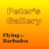 Flying to Barbados - Single