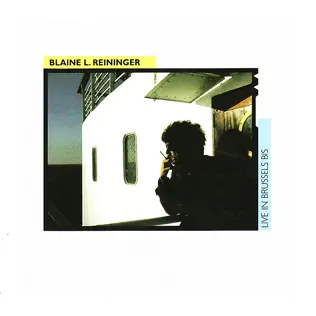descargar álbum Blaine L Reininger - Live In Brussels Bis
