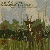 Furnace Mountain - Fields of Fescue