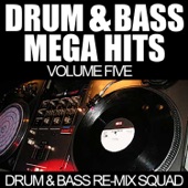 Drum & Bass Mega Hits Vol. 5 artwork