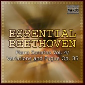 Beethoven: Anthology Vol. 13 artwork