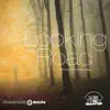 Looking for the Road - Single album lyrics, reviews, download