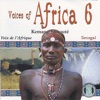 Voices of Africa - Volume 6