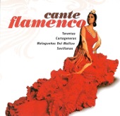 Cante Flamenco