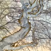 Noe Venable - Ice Dragons