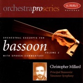 Orchestral Excerpts for Bassoon: Volume 2 artwork