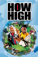 Jesse Dylan - How High artwork