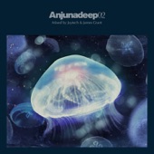 Anjunadeep 02 (Mixed by Jaytech & James Grant) artwork