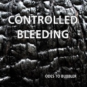 Controlled Bleeding - Bees (Part 3)